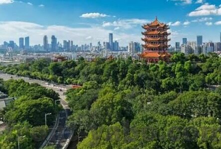 菲律宾对韩国比分足球-菲律宾VS韩国，绿茵场上的逆袭幻想与实力碰撞