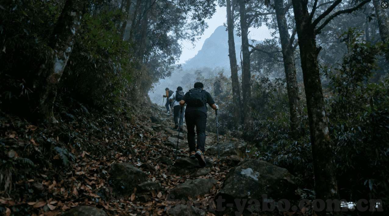 世界杯去线下哪买彩票-世界杯线下购彩全攻略，安全、便捷与乐趣并存