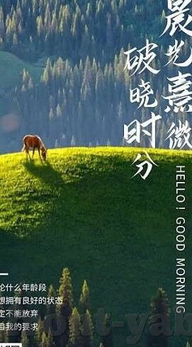 足球提前知道比分-足球世界，若提前知晓比分，梦幻与现实的撕裂